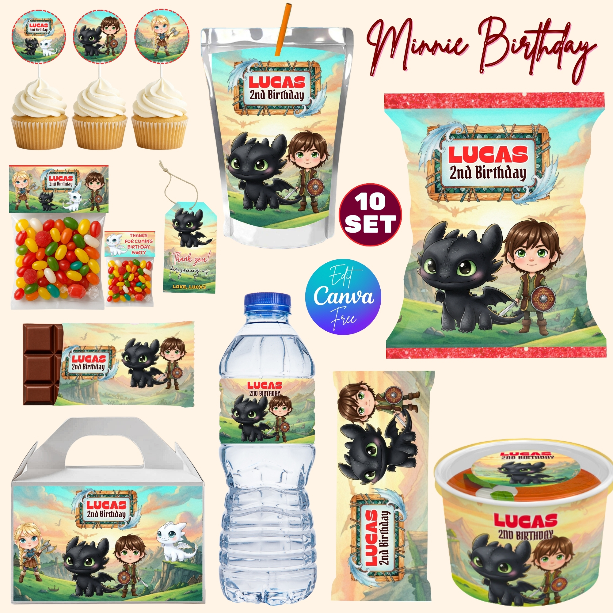 How To Train Your Dragon Birthday Party Favors
