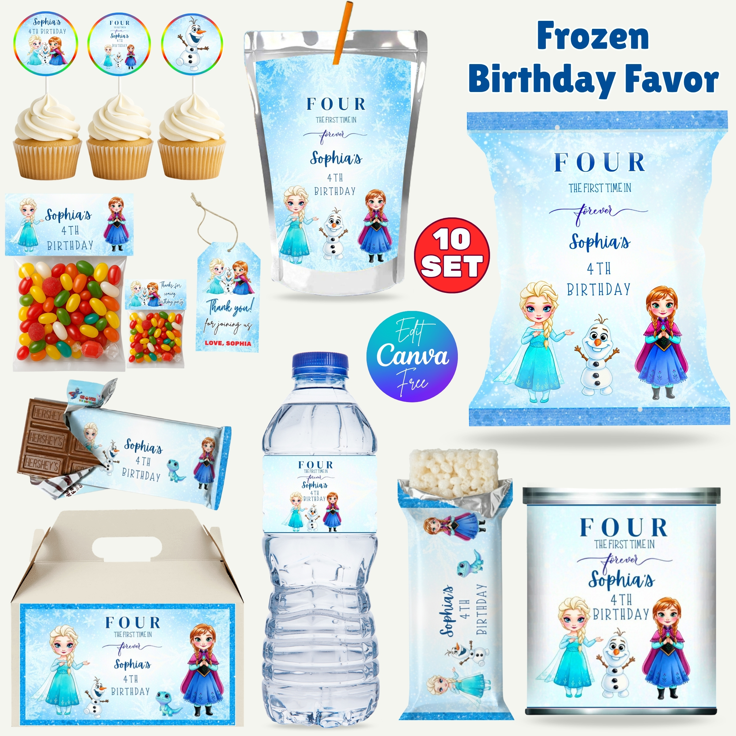 Frozen Birthday Party Favor